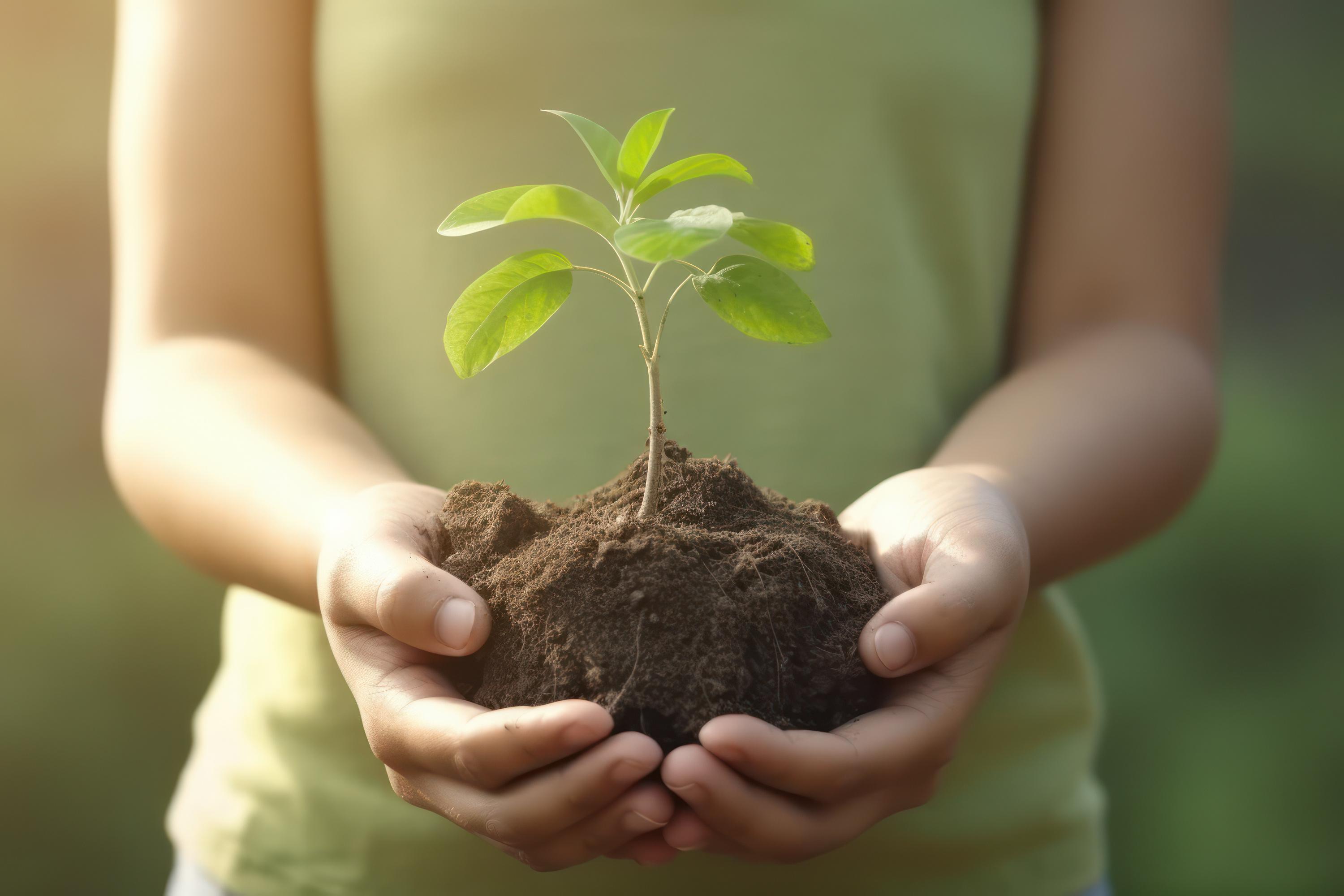 sustainability