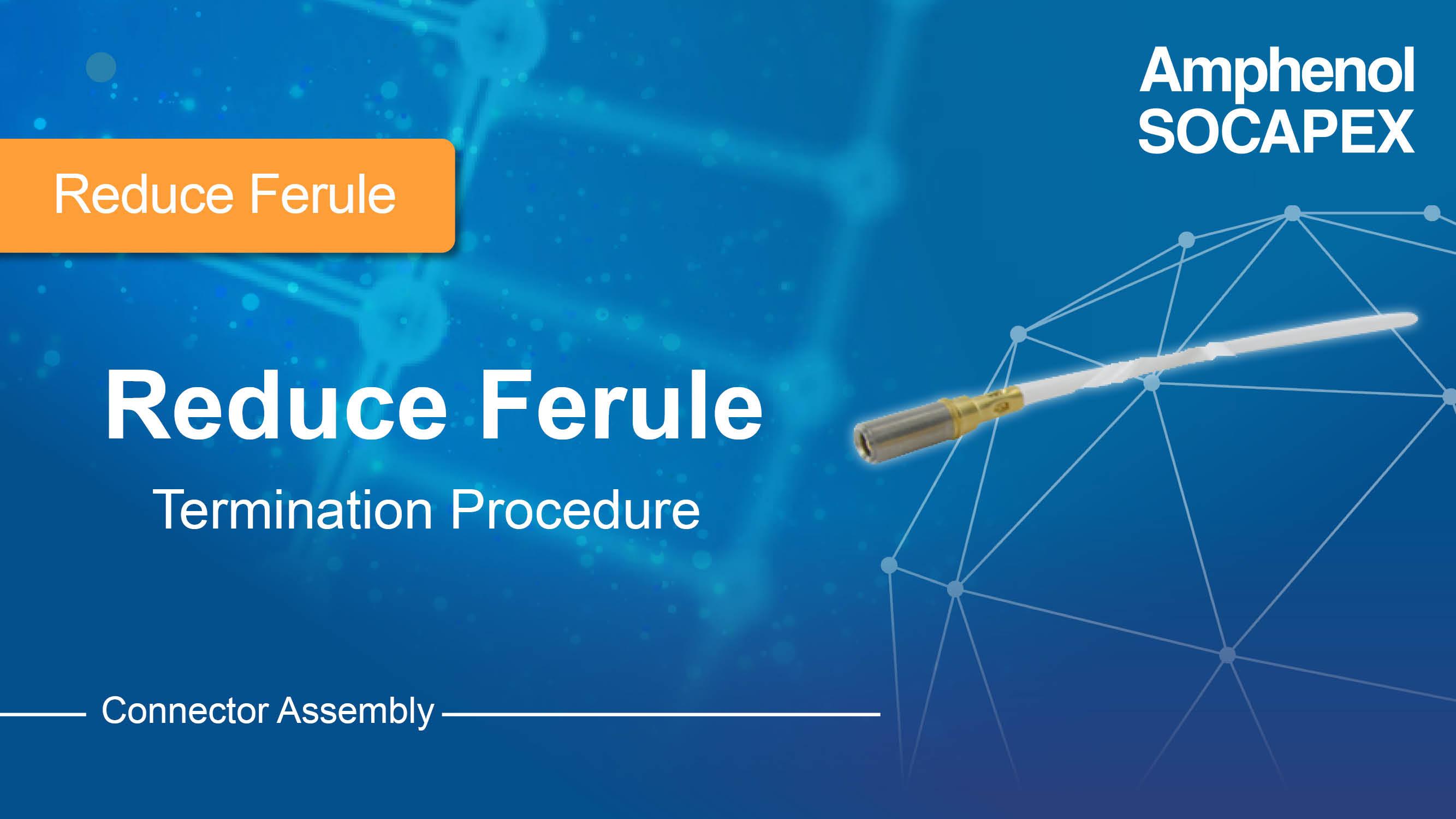 Reducing ferule