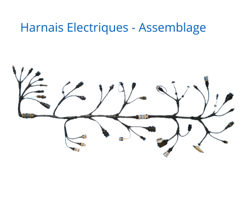 Assemblage harnais électriques